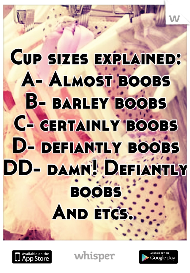 Cup Sizes Explained
